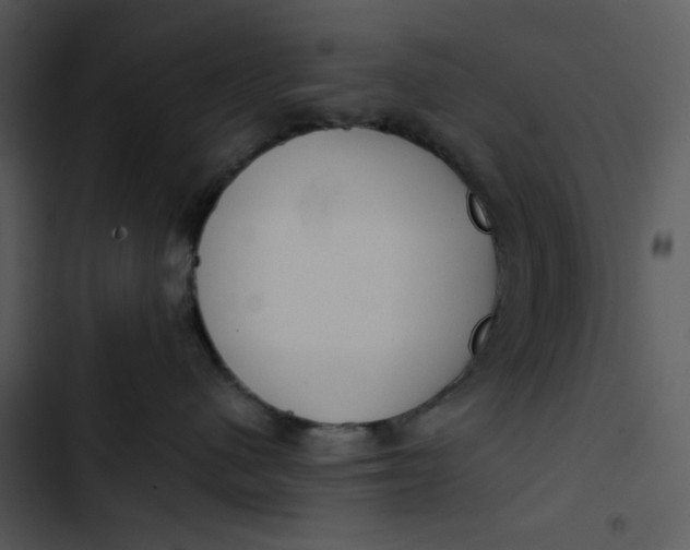 X0000102820480200809081135