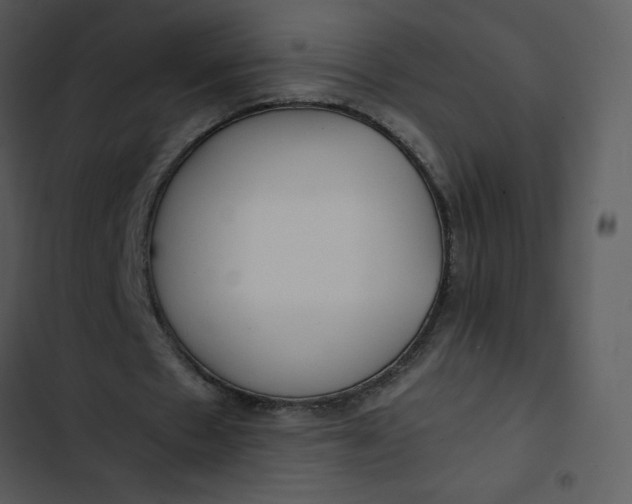 X0000102820481200809081134