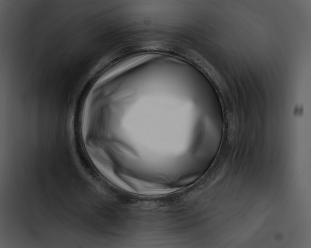 X0000102820482200809081134