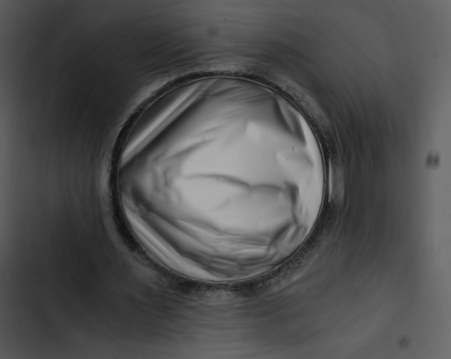 X0000102820483200809081134