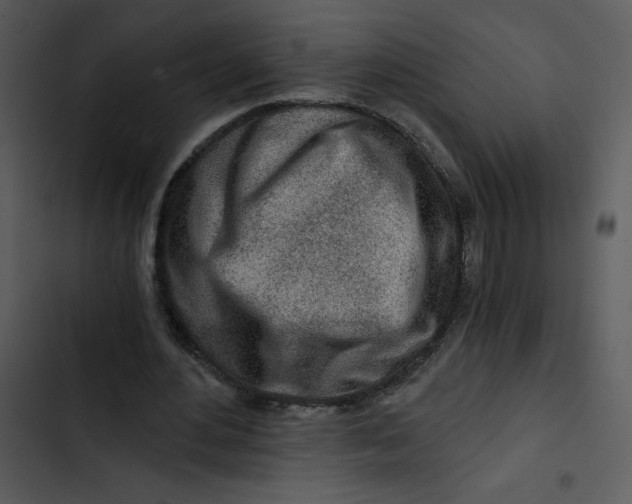 X0000102820484200809081134