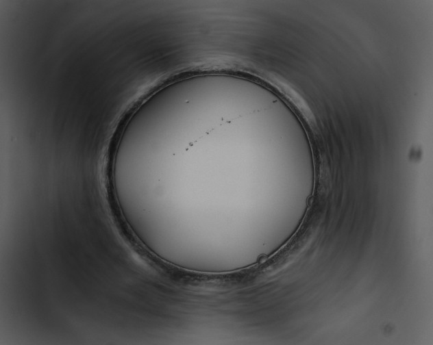 X0000102820485200809081134