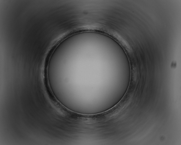 X0000102820486200809081134