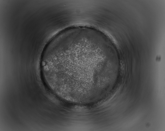 X0000102820487200809081134