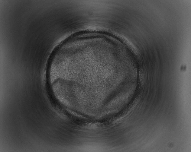 X0000102820488200809081134