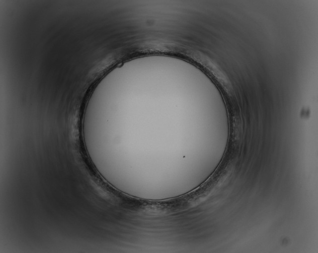 X0000102820489200809081134