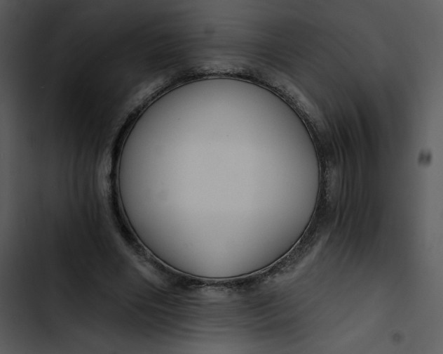 X0000102820490200809081134