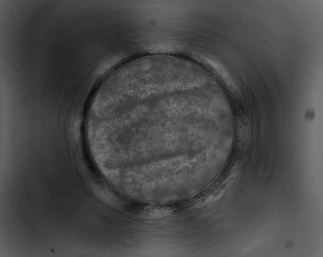 X0000102820491200809081134