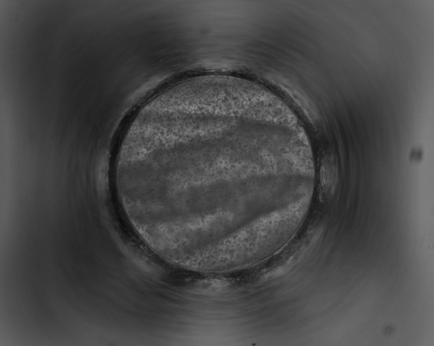 X0000102820492200809081134