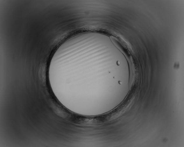 X0000102820493200809081134