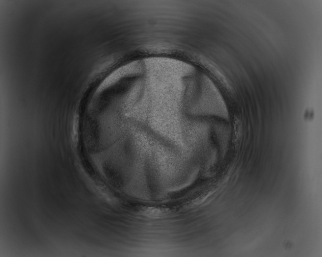 X0000102820494200809081134