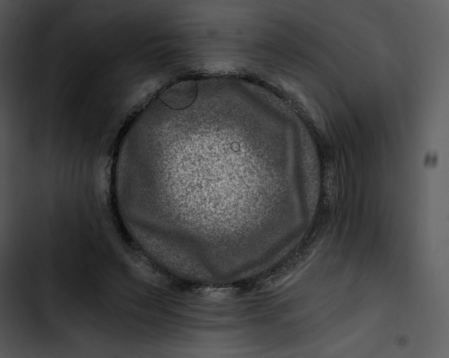 X0000102820495200809081134