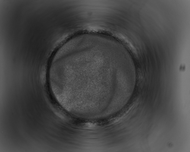 X0000102820496200809081134