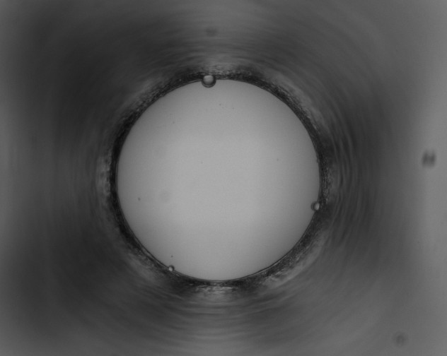 X0000102820497200809081134