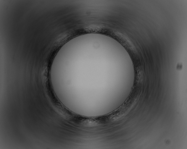 X0000102820498200809081134