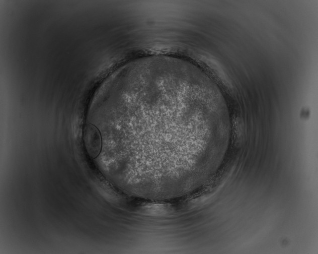 X0000102820499200809081134