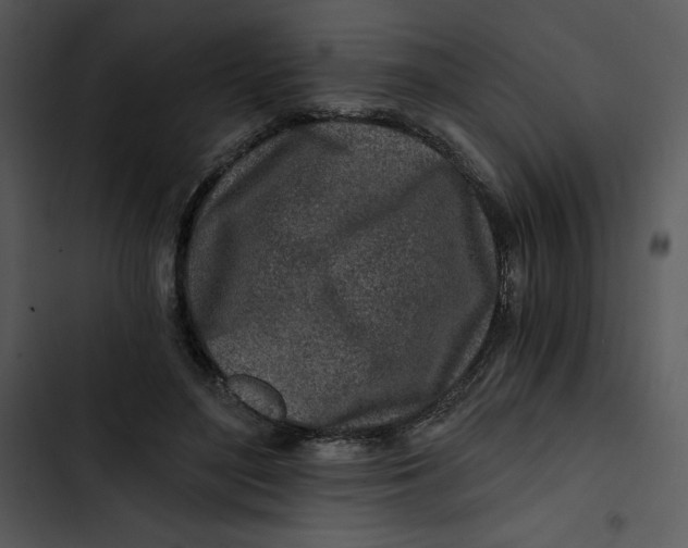 X0000102820500200809081134