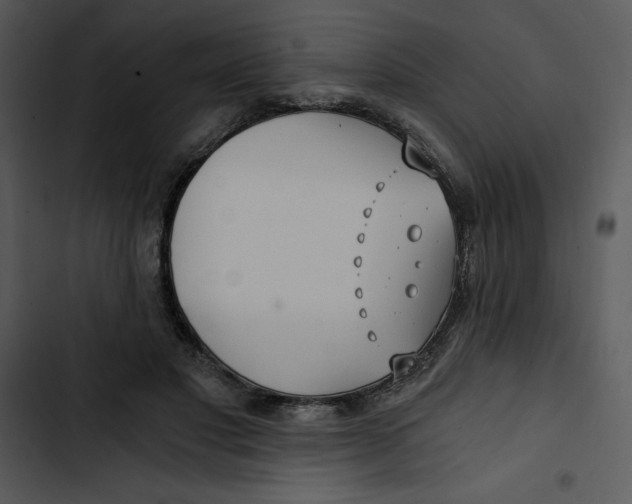 X0000102820501200809081134