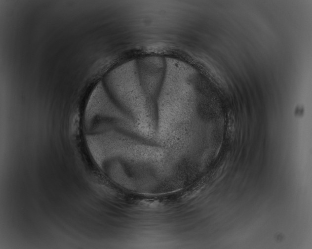 X0000102820502200809081134