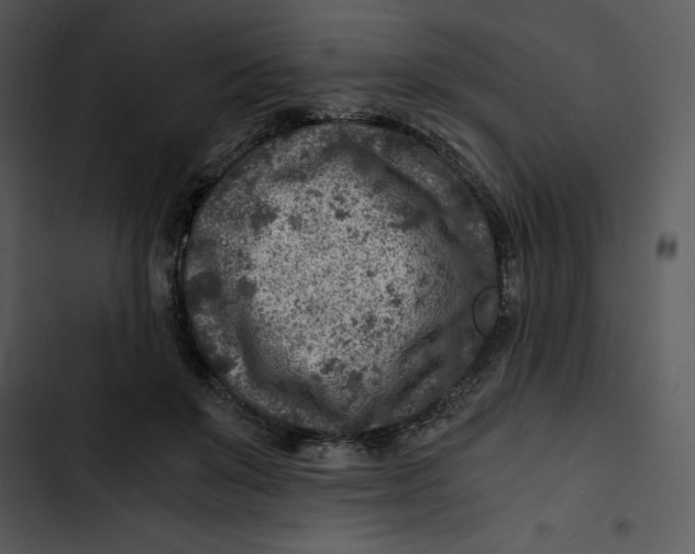 X0000102820503200809081134