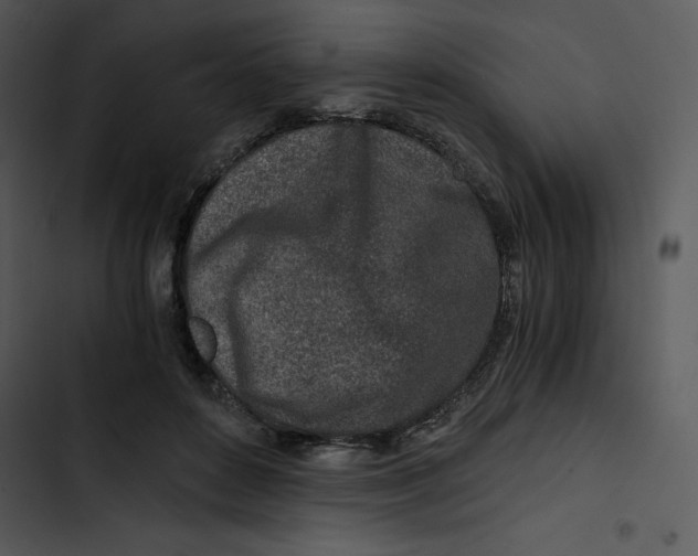 X0000102820504200809081134