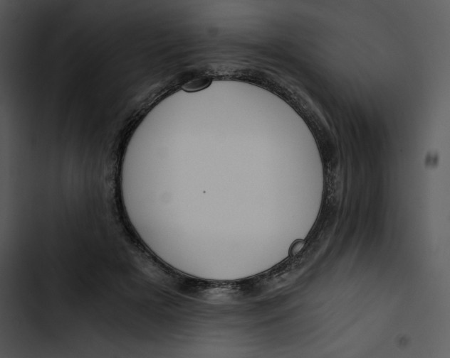 X0000102820505200809081134