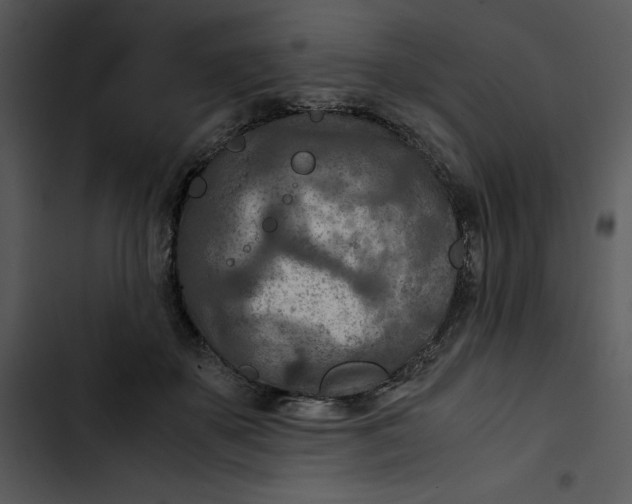 X0000102820507200809081134