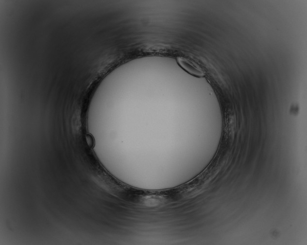 X0000102820508200809081134