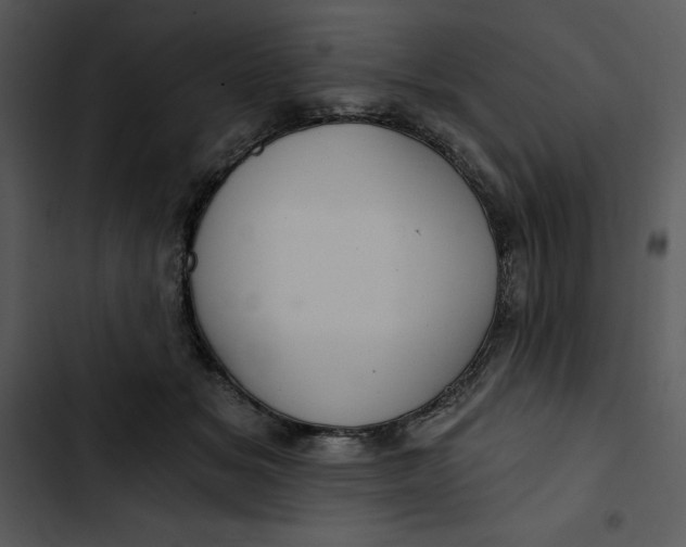 X0000102820509200809081134