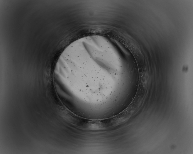 X0000102820510200809081134