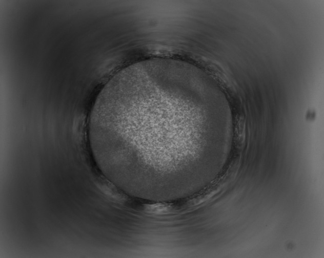 X0000102820511200809081134