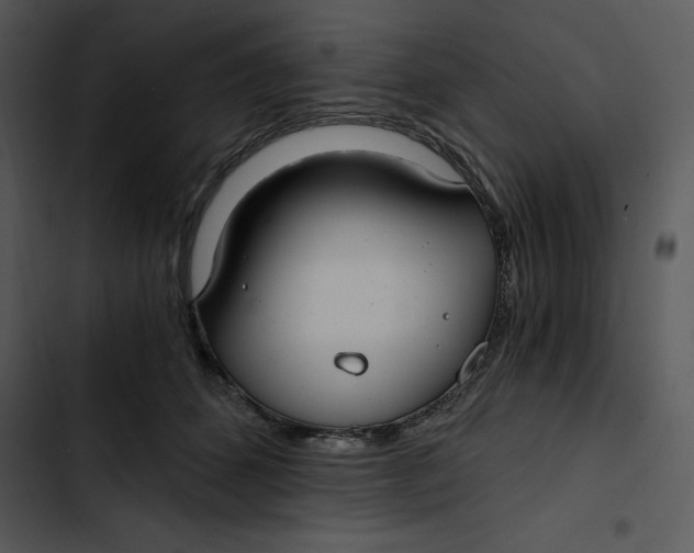 X0000102820512200809081134