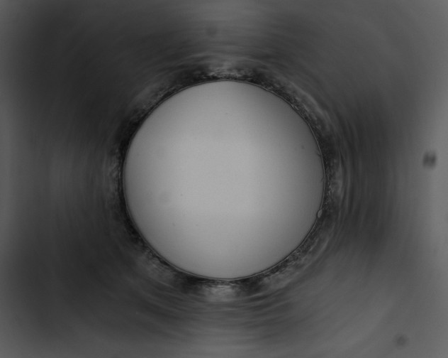 X0000102820513200809081134