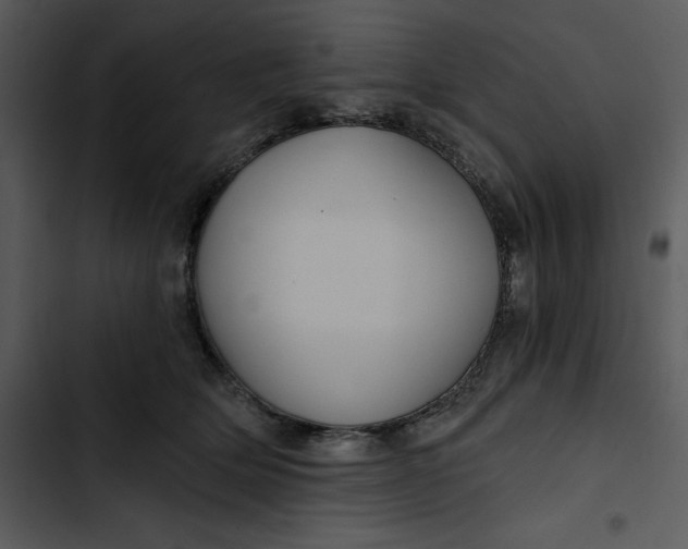 X0000102820514200809081134