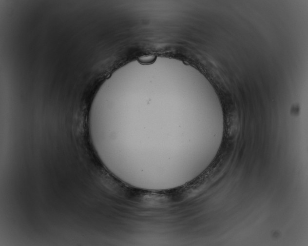 X0000102820515200809081134