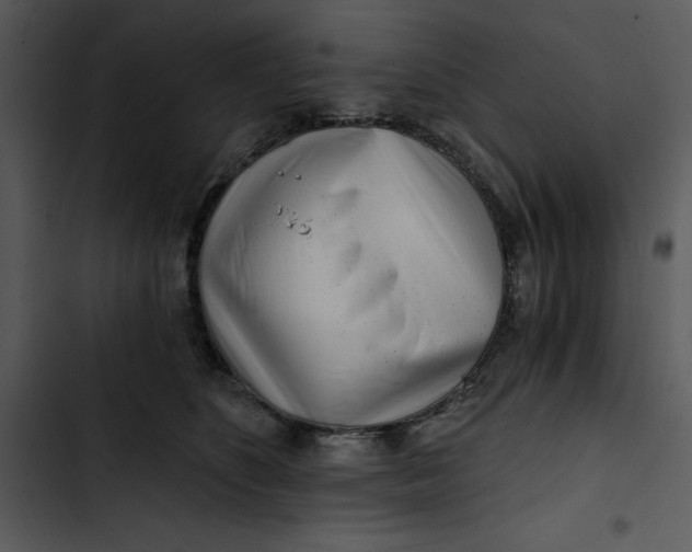 X0000102820516200809081134