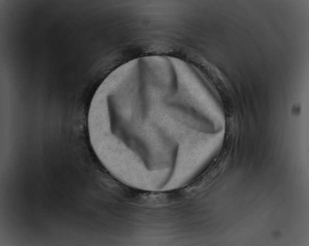 X0000102820517200809081134