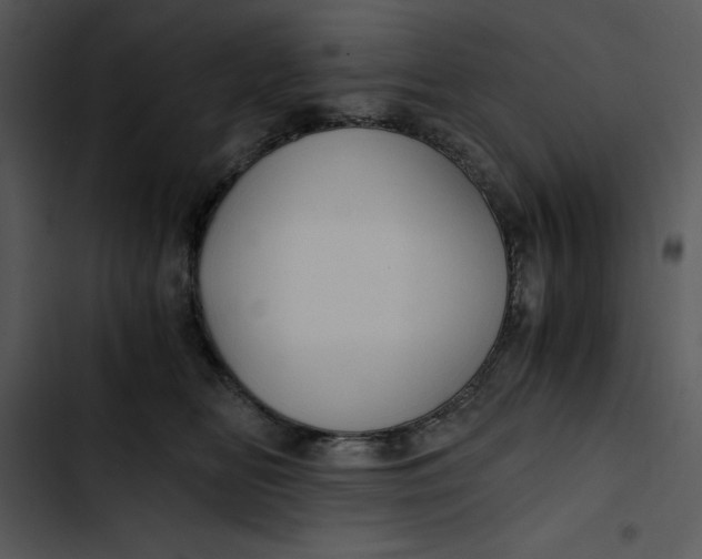 X0000102820518200809081134