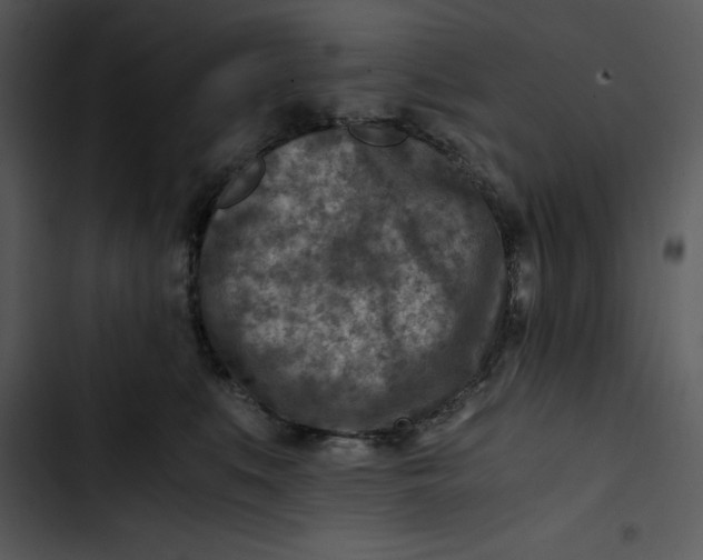 X0000102820519200809081134