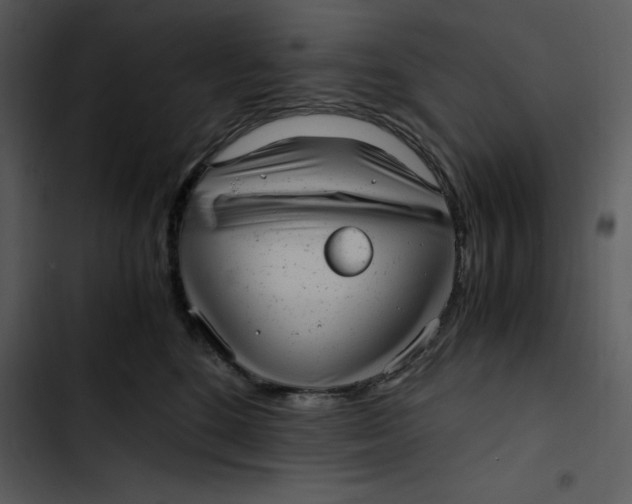 X0000102820520200809081134