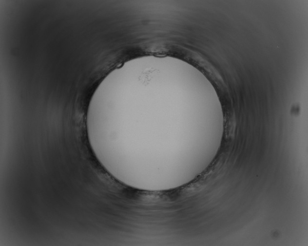 X0000102820521200809081134