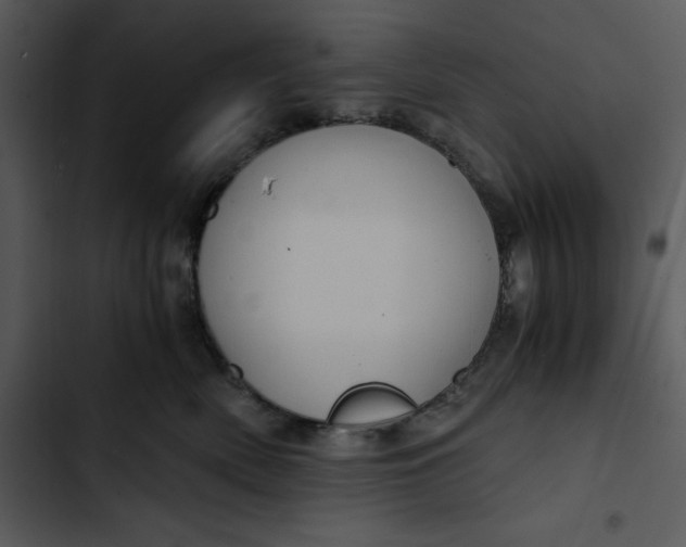 X0000102820522200809081134