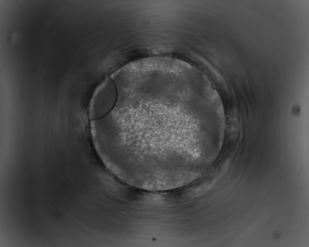 X0000102820523200809081134