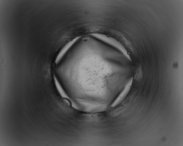 X0000102820524200809081134