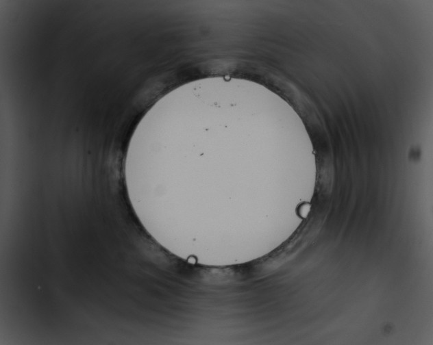 X0000102820525200809081134