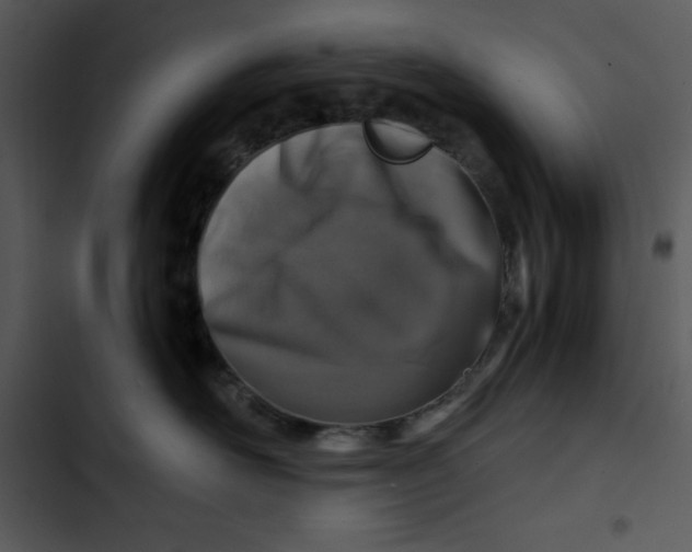 X0000102820526200809081134