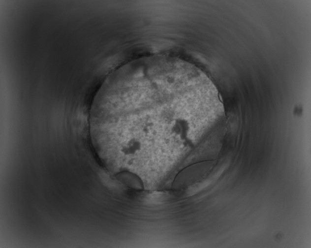 X0000102820527200809081134