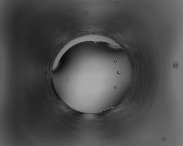 X0000102820528200809081134