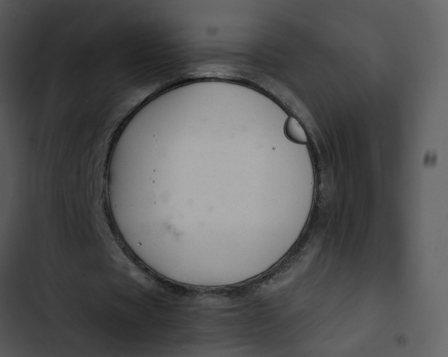 X0000102820529200809081133