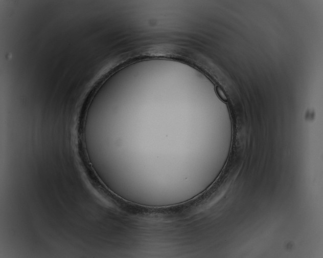 X0000102820530200809081133